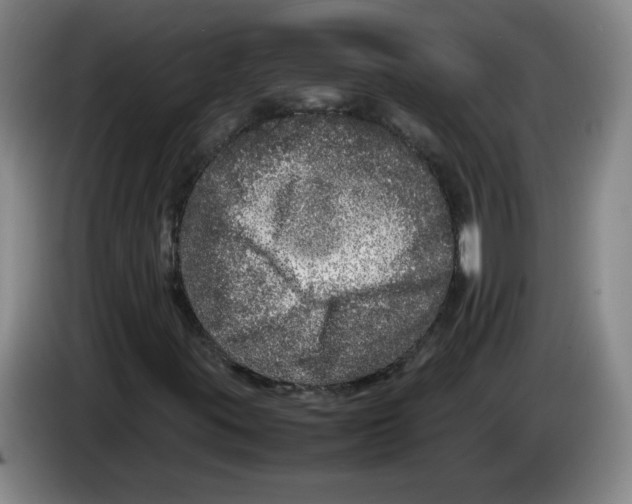 X0000083601395200703091731