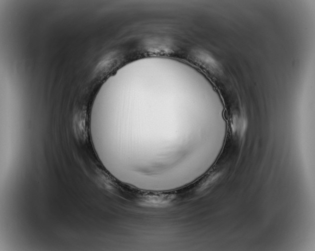 X0000083601396200703091731