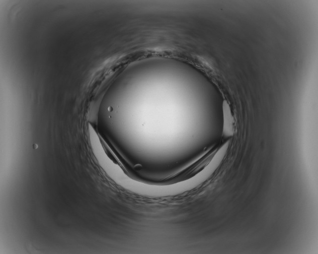 X0000083601398200703091731