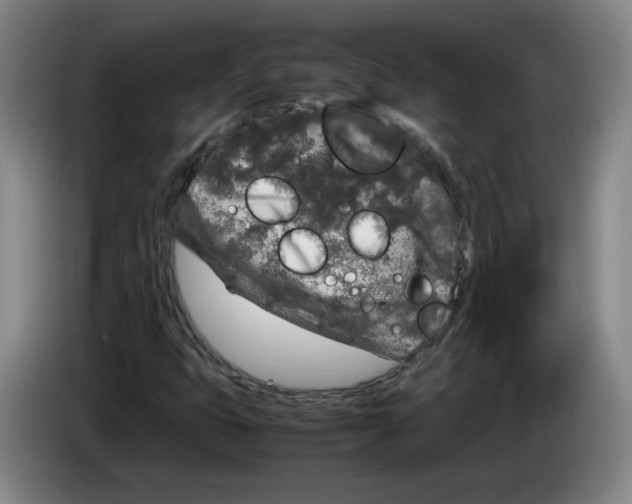 X0000083601399200703091731