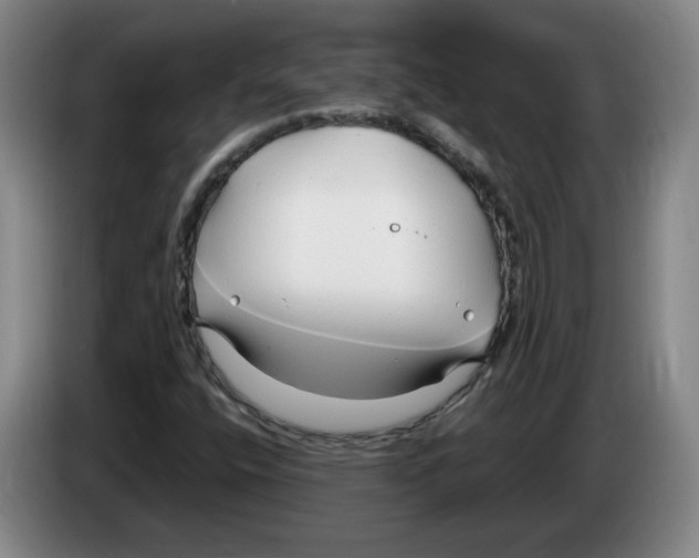 X0000083601400200703091731