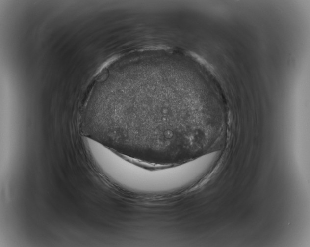 X0000083601401200703091731