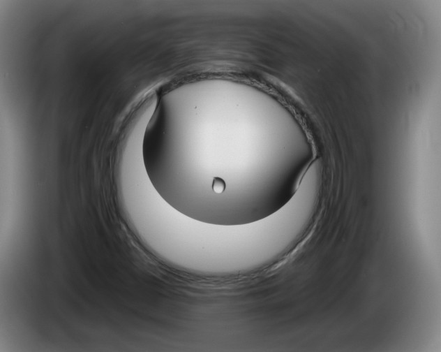 X0000083601402200703091731