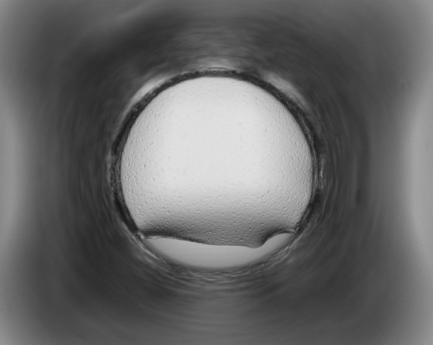 X0000083601404200703091731