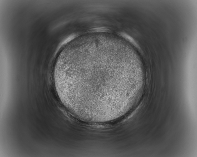 X0000083601405200703091731