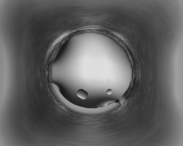 X0000083601406200703091731