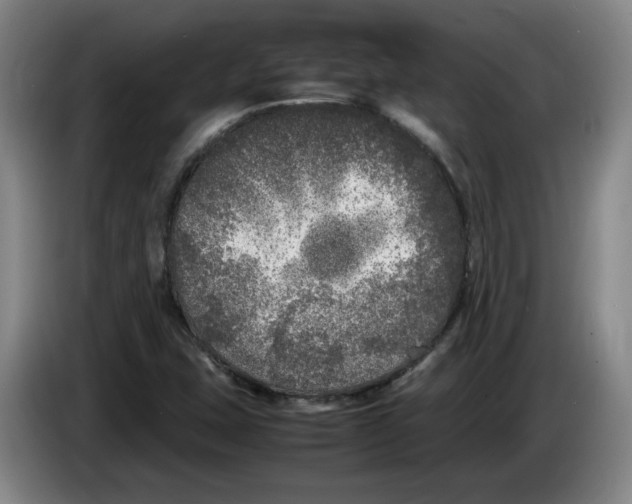 X0000083601407200703091731