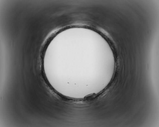 X0000083601408200703091731