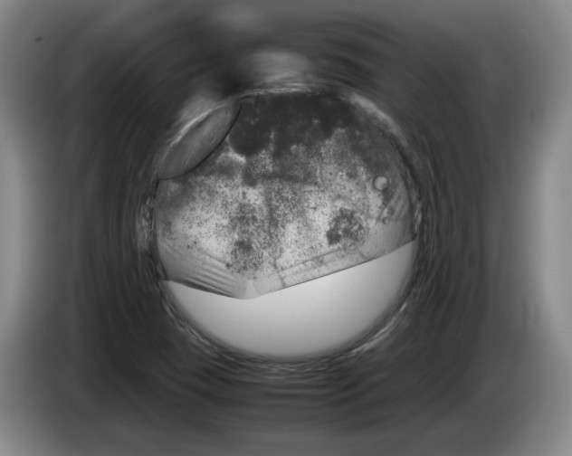 X0000083601409200703091731