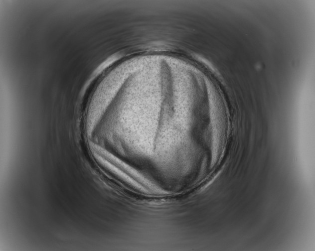 X0000083601410200703091731