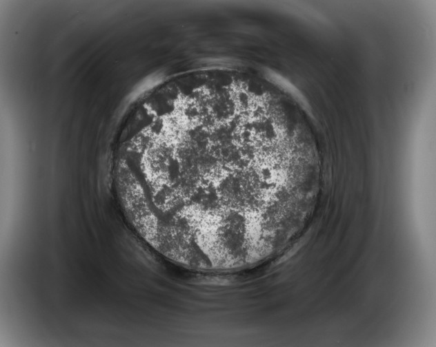 X0000083601411200703091731