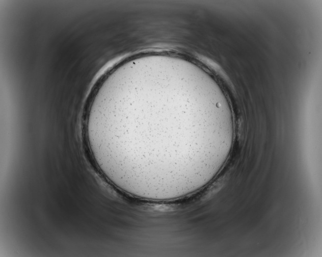 X0000083601412200703091731