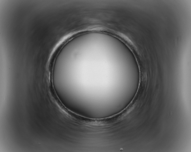 X0000083601414200703091732