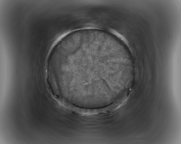 X0000083601415200703091732