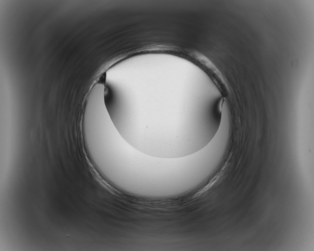 X0000083601417200703091732