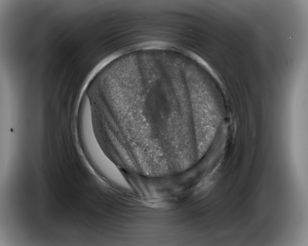 X0000083601418200703091732