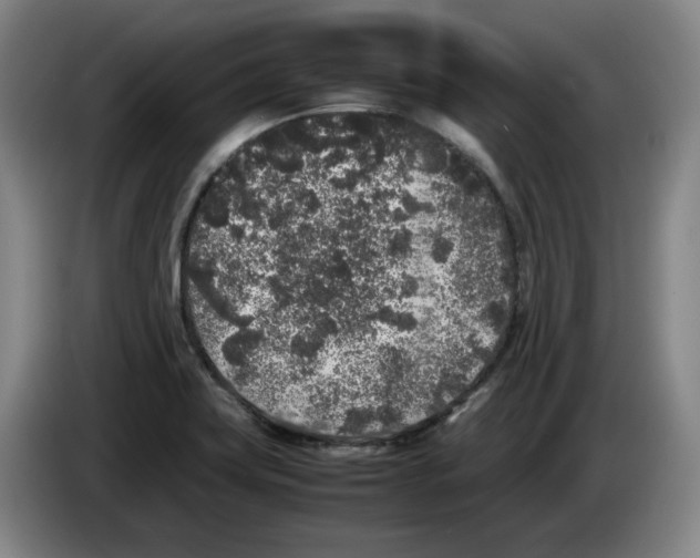 X0000083601419200703091732