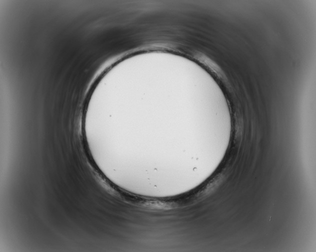 X0000083601420200703091732