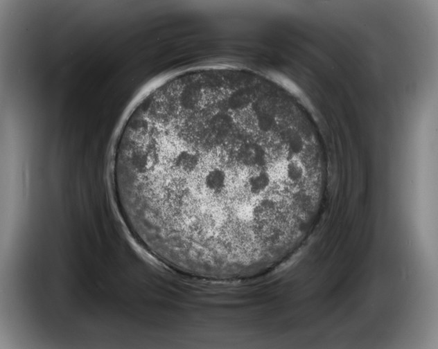 X0000083601421200703091732