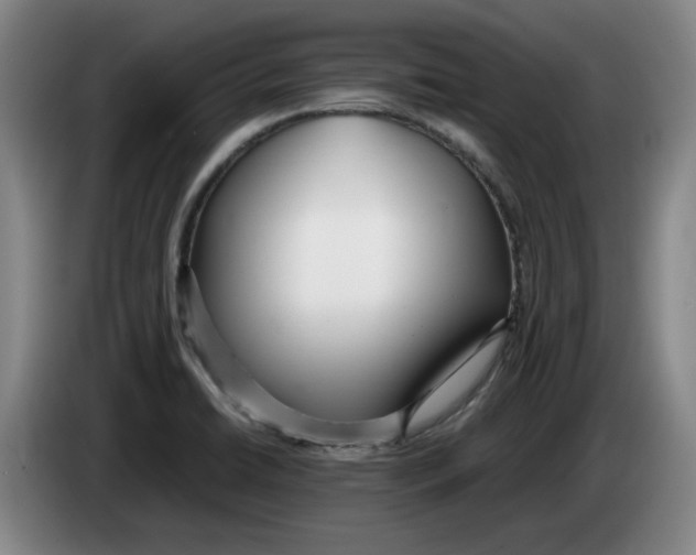 X0000083601422200703091732