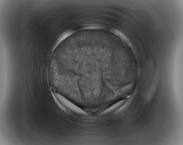 X0000083601425200703091732