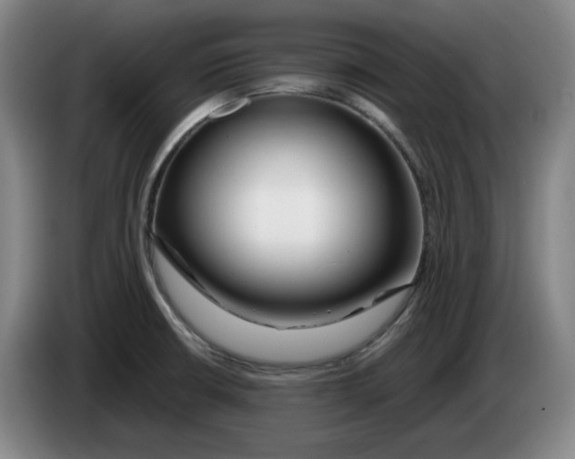 X0000083601426200703091732