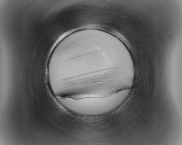 X0000083601428200703091732