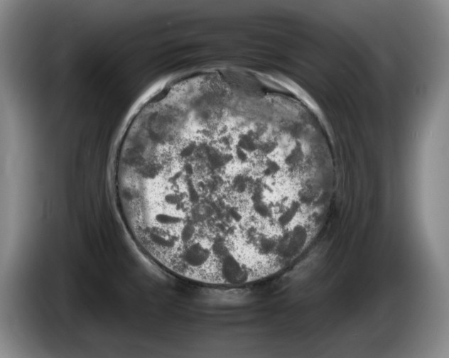 X0000083601429200703091732