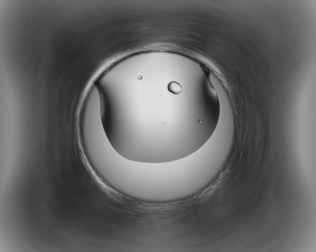 X0000083601430200703091732