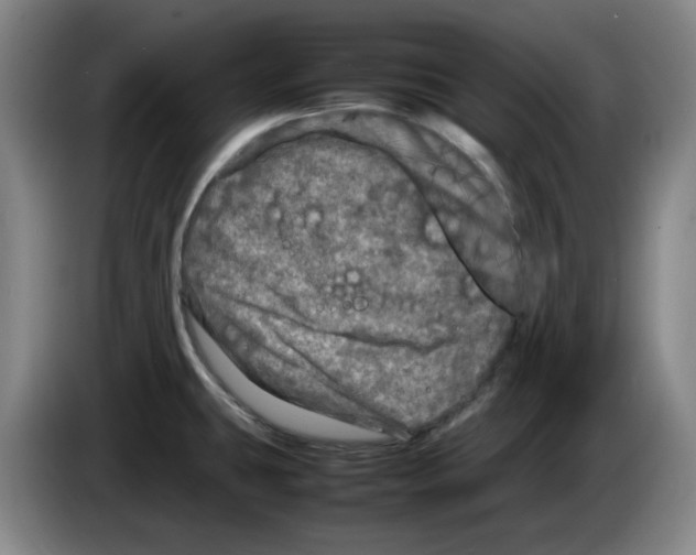 X0000083601431200703091732