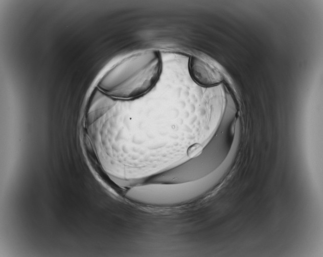 X0000083601432200703091732