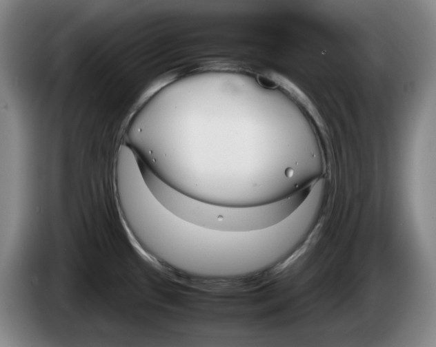 X0000083601433200703091732