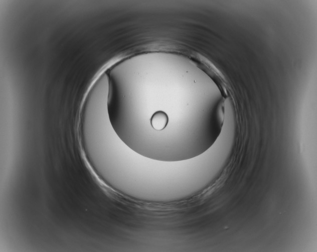 X0000083601434200703091732