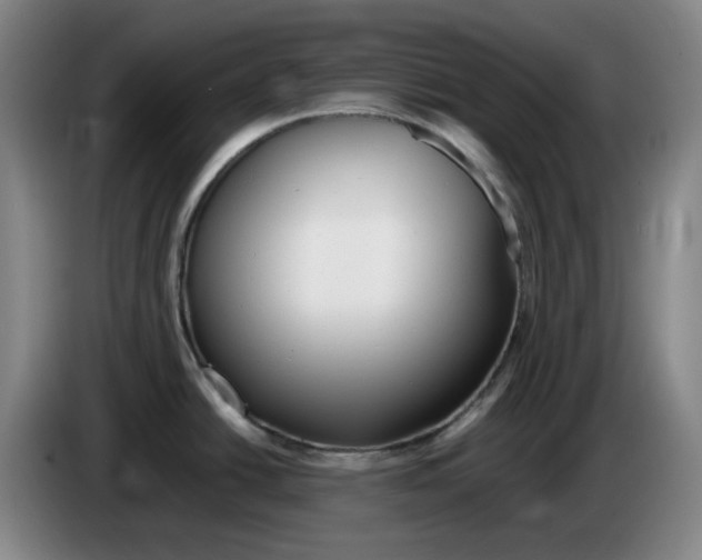 X0000083601438200703091732