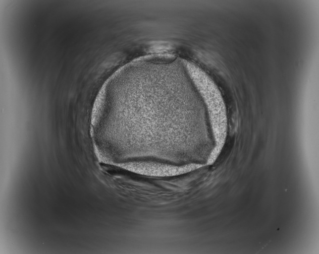 X0000083601441200703091731