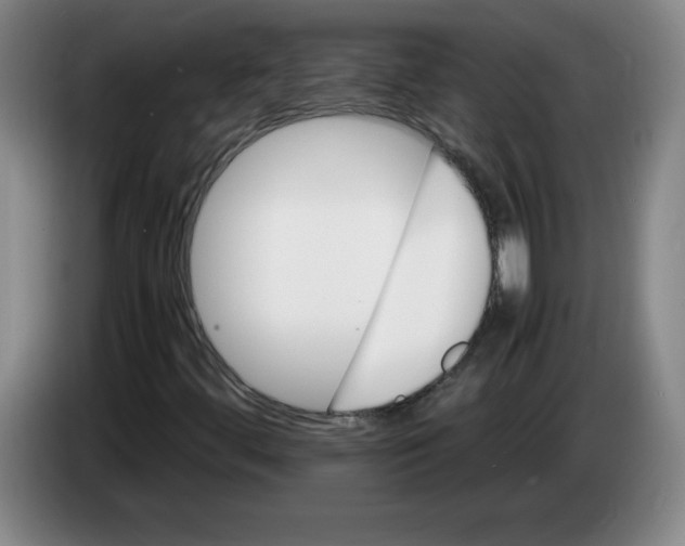 X0000083601444200703091731