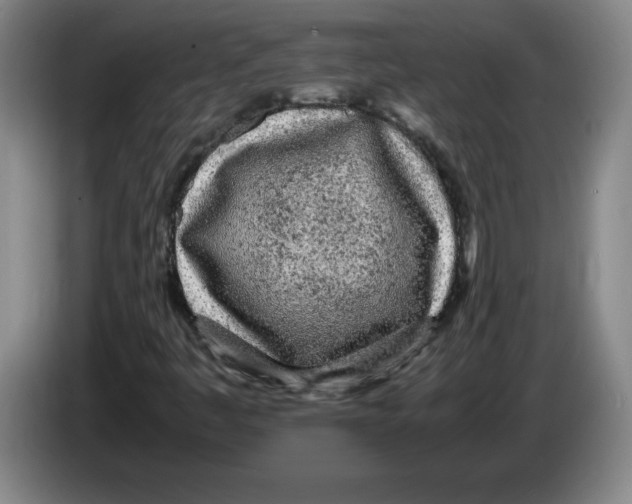 X0000083601445200703091731