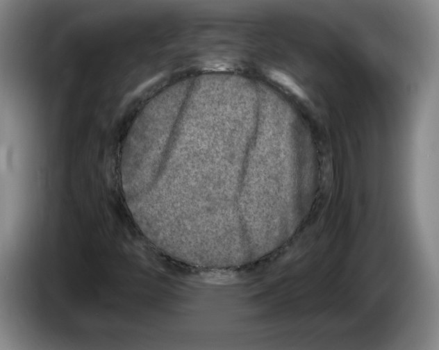 X0000083601446200703091731