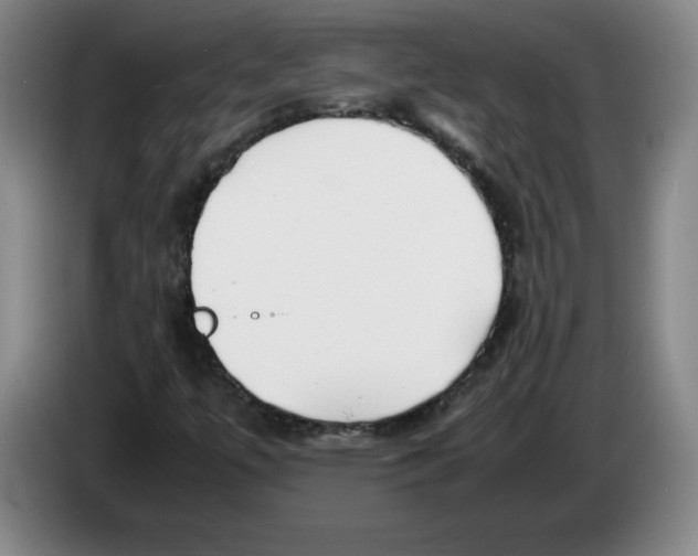 X0000083601447200703091731