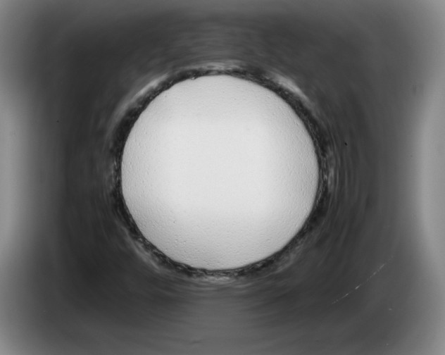 X0000083601448200703091731