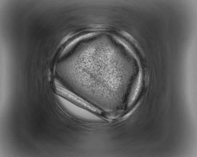 X0000083601449200703091731