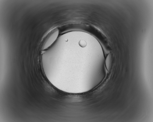 X0000083601450200703091731