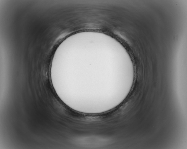 X0000083601451200703091731