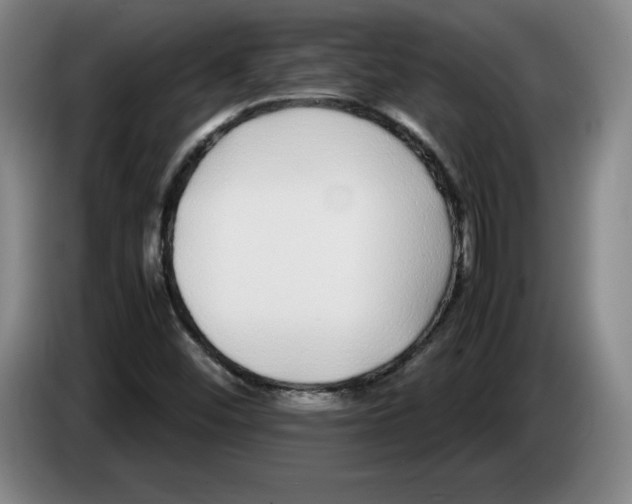 X0000083601452200703091731