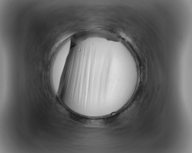 X0000083601453200703091731