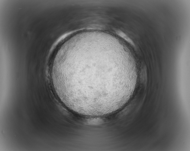 X0000083601454200703091731