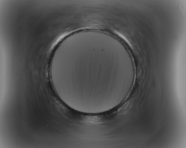 X0000083601455200703091731