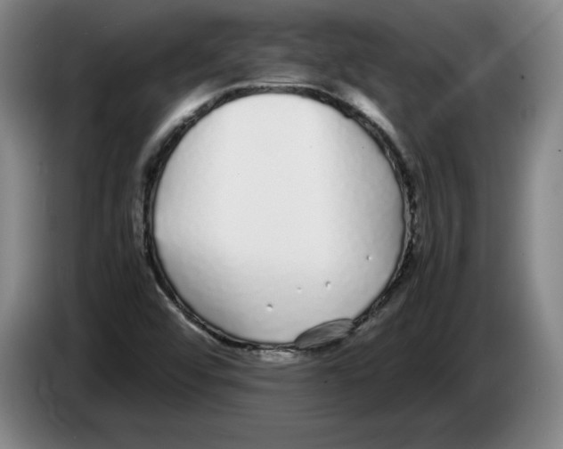 X0000083601456200703091731