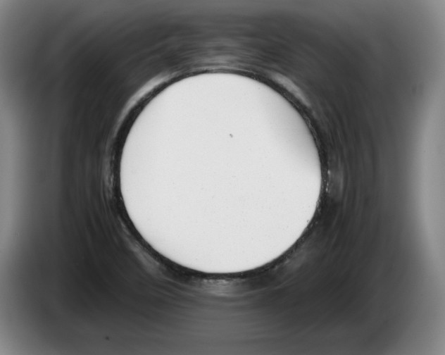 X0000083601458200703091731