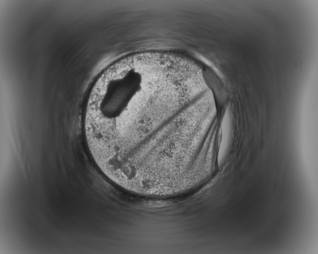 X0000083601459200703091731